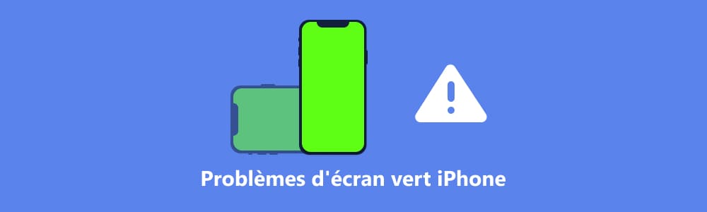 iPhone 11 : l'écran vire au vert à cause d'un bug au déverrouillage