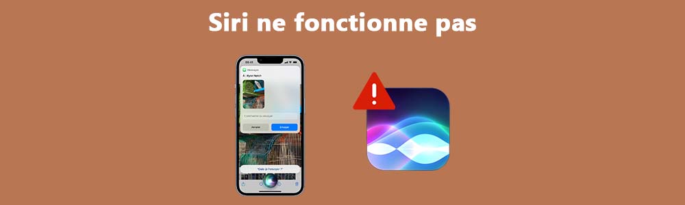 Siri ne fonctionne pas