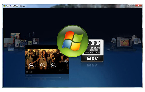 Windows media player mkv audio codec - lasopalava