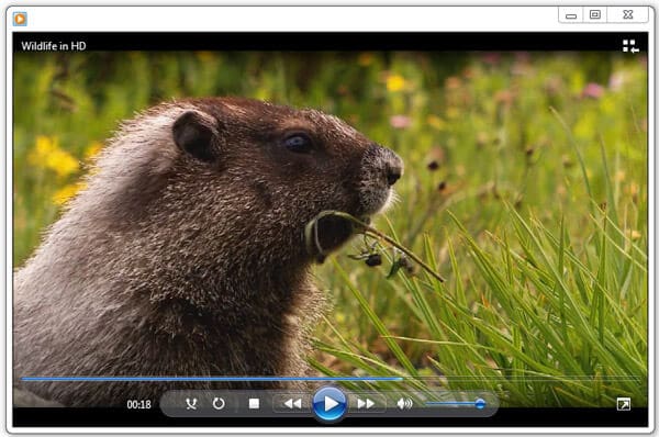 Lire MKV avec Windows Media Player