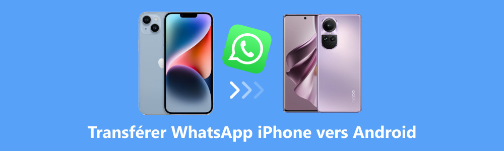 Transférer WhatsApp iPhone vers Android